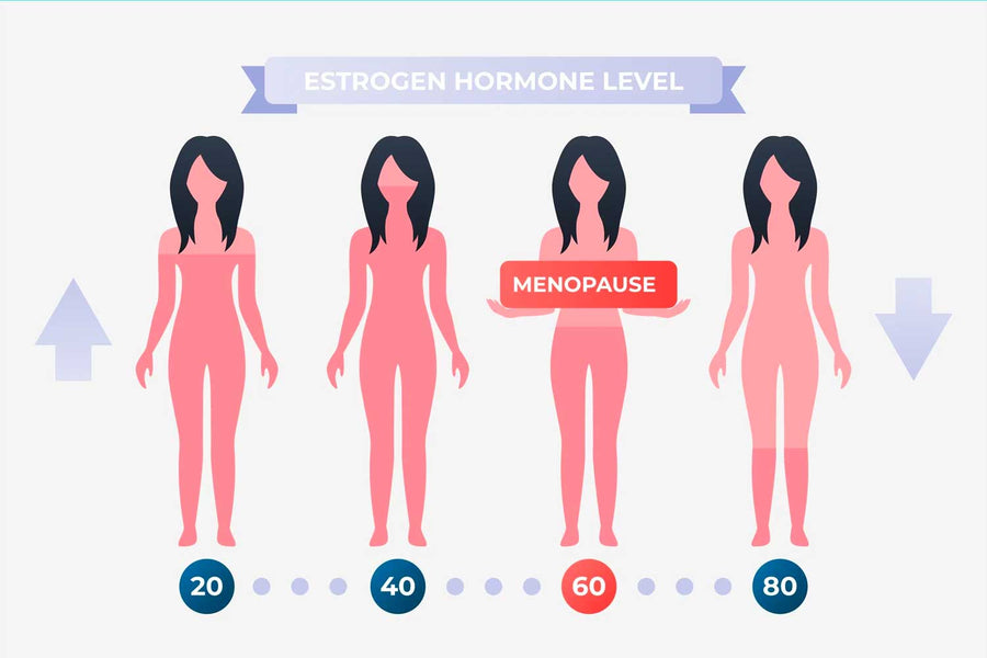 From Puberty to Menopause: A Journey of Women’s Health