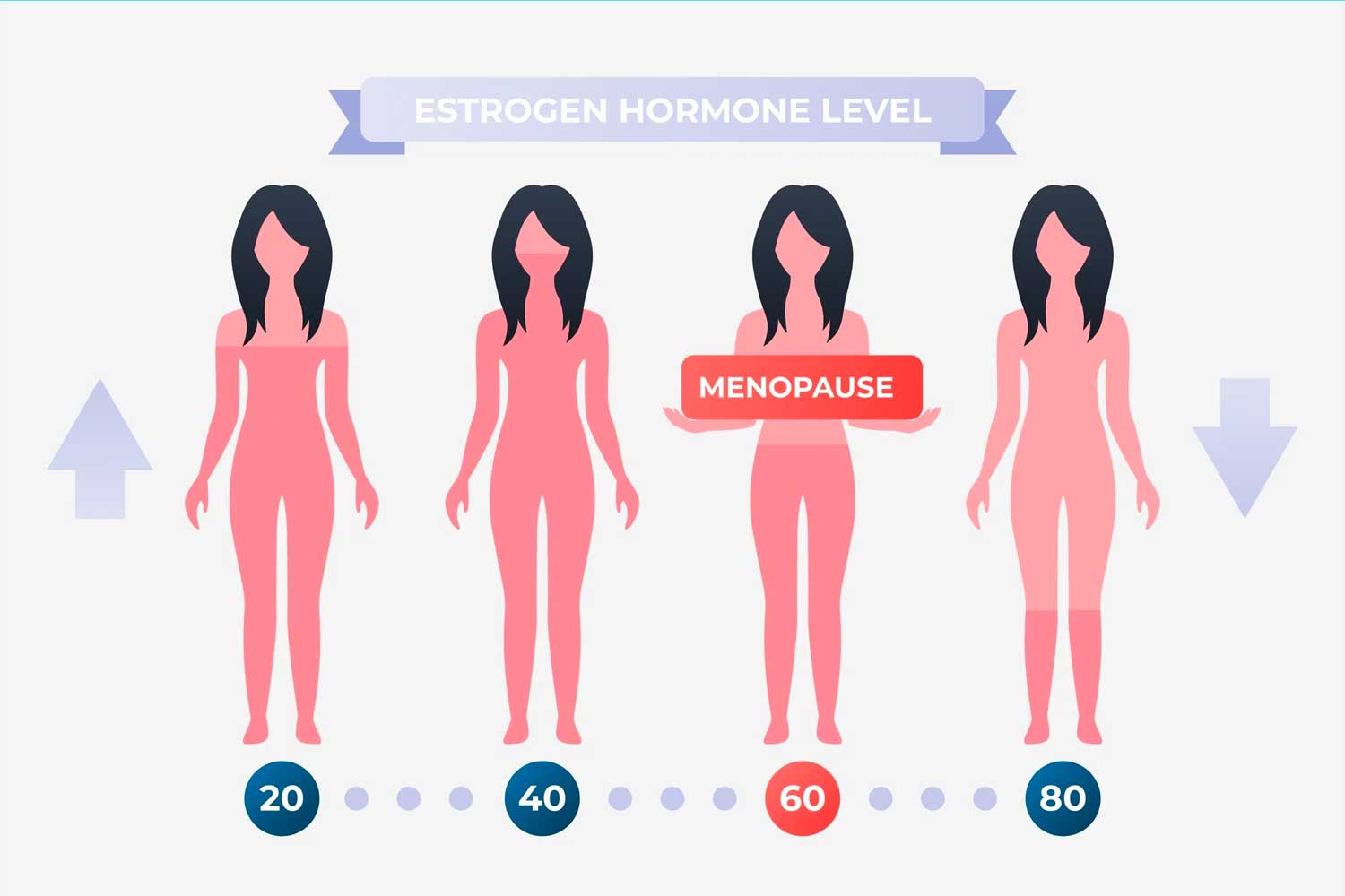 Infographic showing Estrogen level of women throughout the age