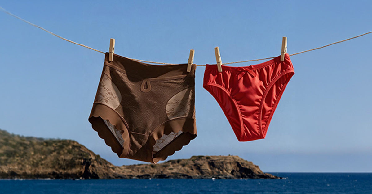 Seamless Shaper Brief vs Regular Panty