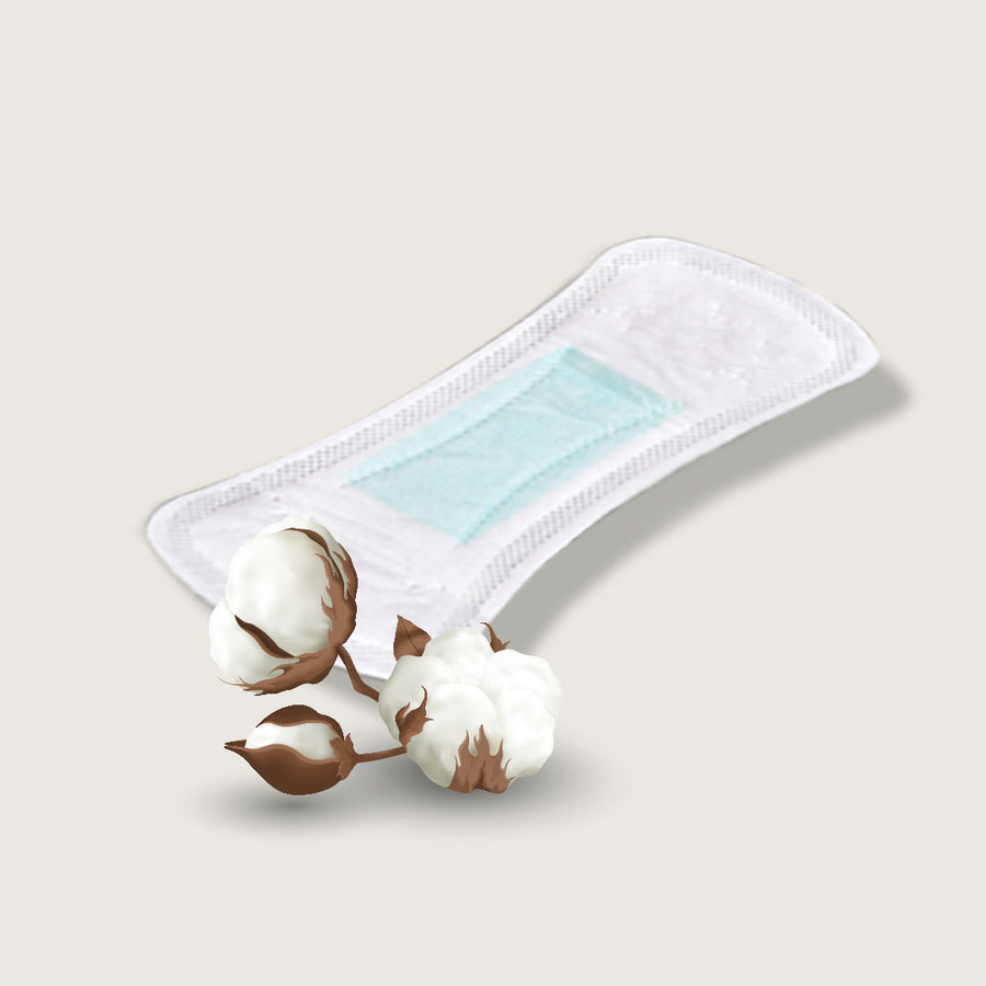 Everyday Travel Pack (Panty Liners)