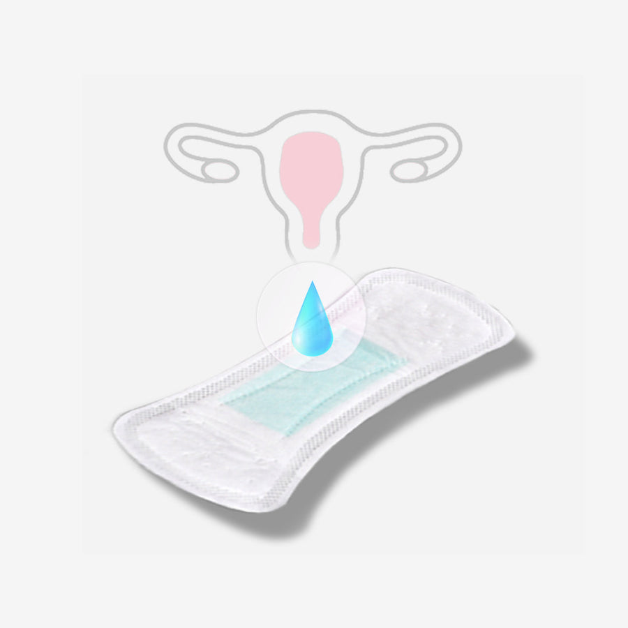 Regular (Panty Liners)