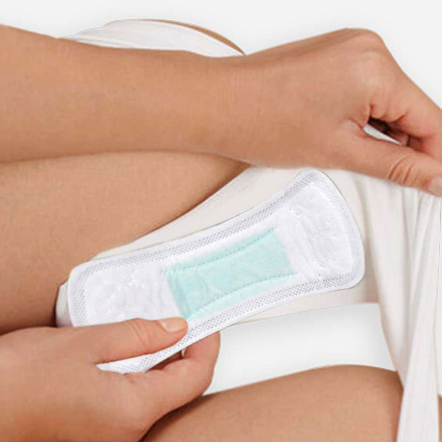 Regular (Panty Liners)