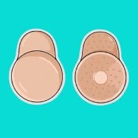 Breast Cup